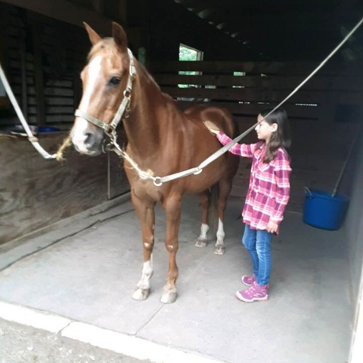 New Day Equine Therapy and Emma