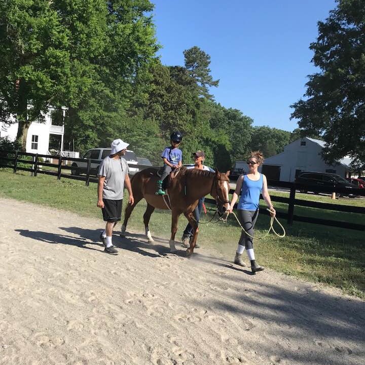 New Day Equine Therapy and Tariq