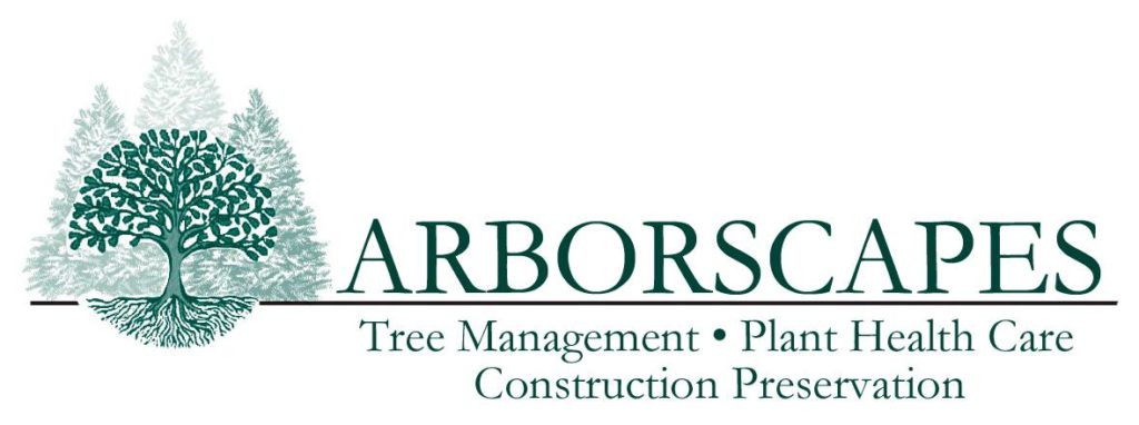 Arborscape Logo