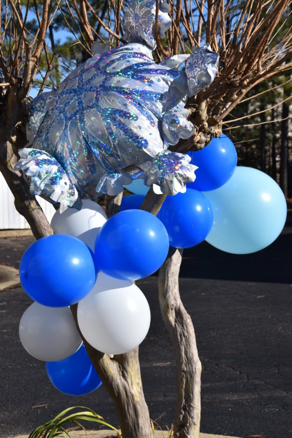 White and blue balloons tied to a tree in a parking lot