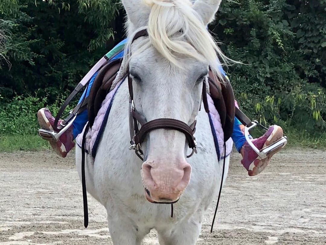 A child smiling sitting on a white horse