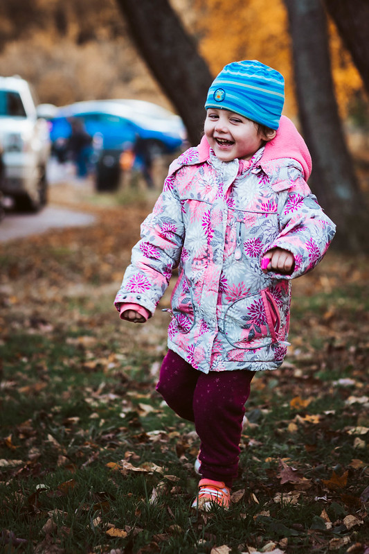 A little girl playing in the leaves