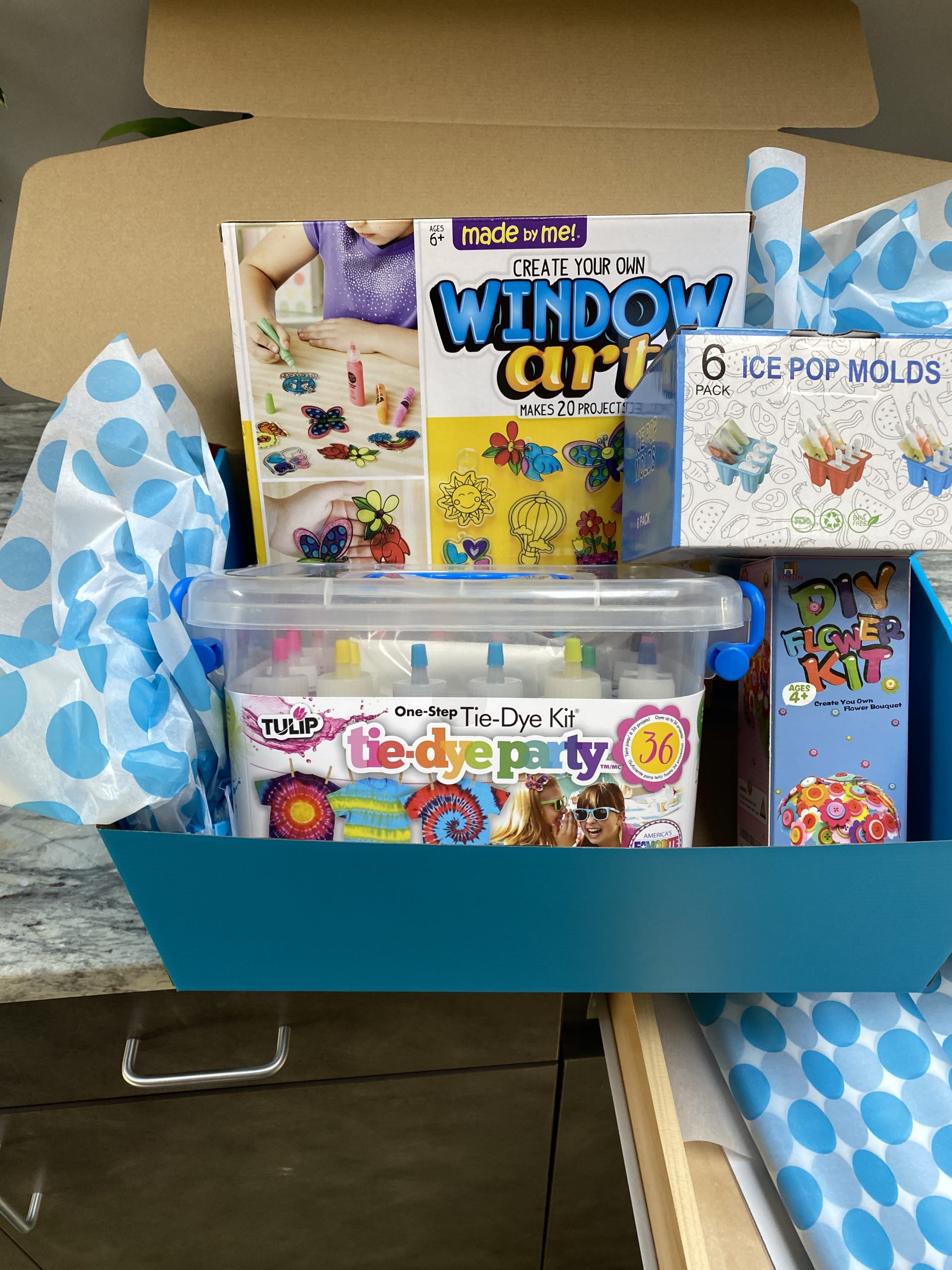 Blue box filled with ice pop molds, DIY flower kit, tie-dye party kit