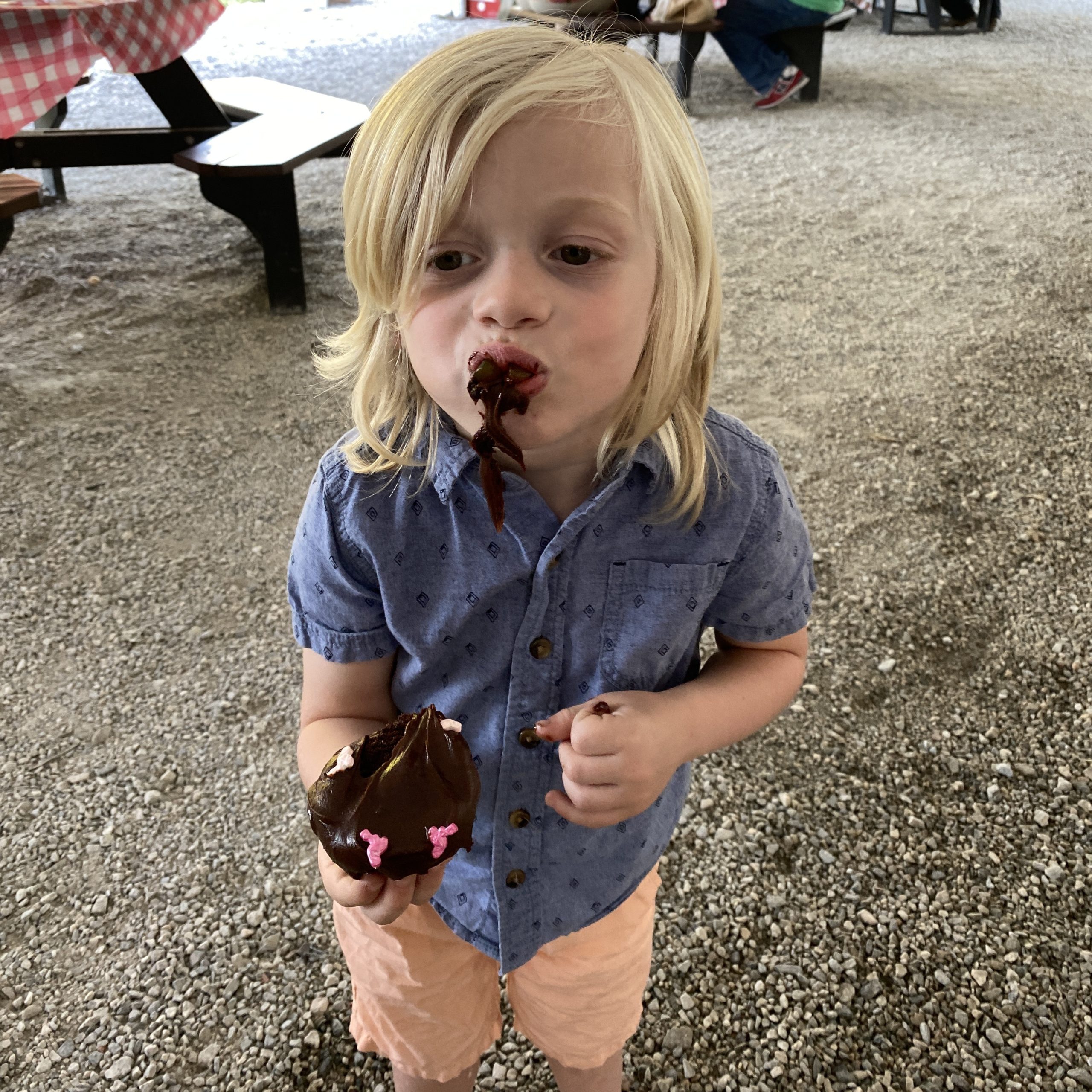 A boy is eating a chocolate cupcake