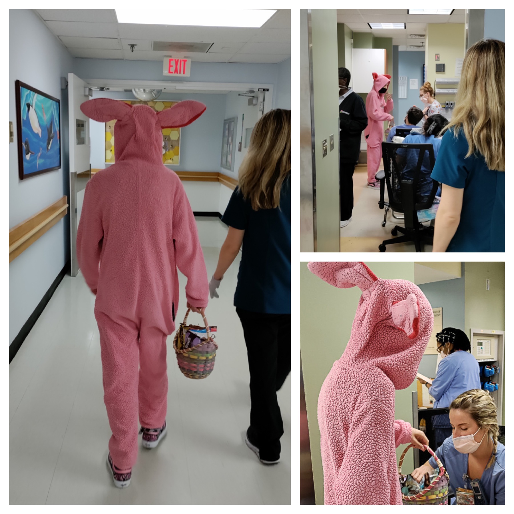 3 photos of Micah wearing a pink bunny suit giving candy to nurses