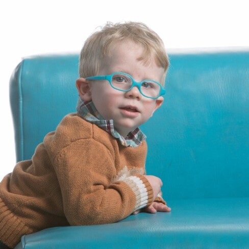 Augie sitting on a blue couch